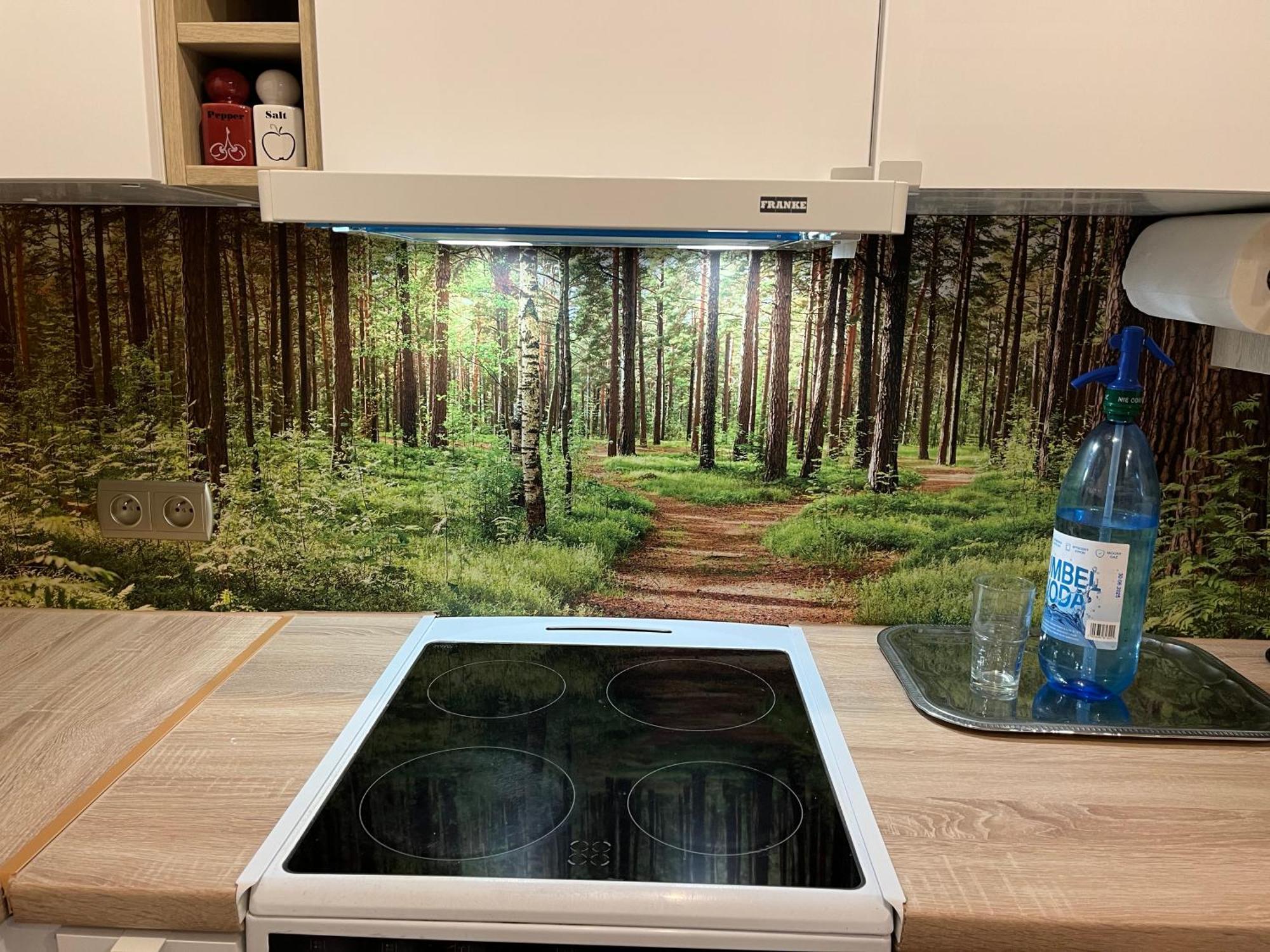 Urocze Mieszkanie W Gdansku Buitenkant foto